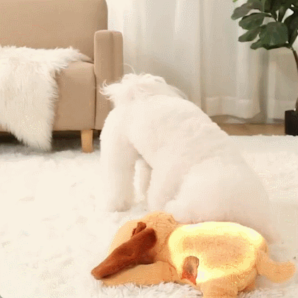 Petsume™ SoothBeat Puppy Series