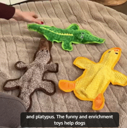 Petlori™ TrustyChew Platypus series