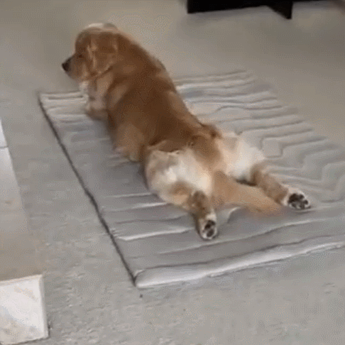 Petsume™ DreamPaws Cooling Mat