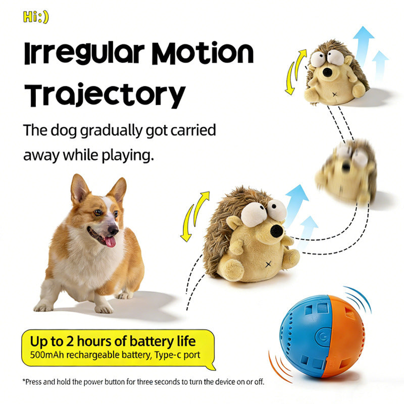 Petsume™ Zoomigo Intelligent Interaction