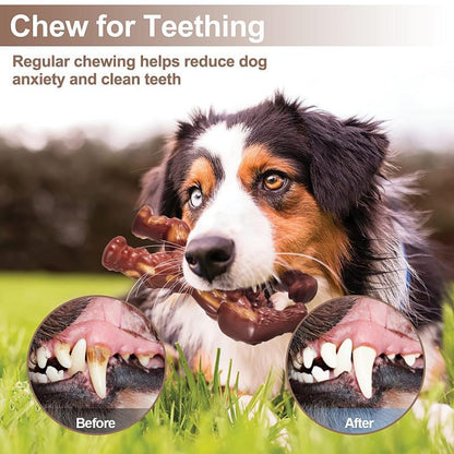Petootsy™ TitanChew King Kong