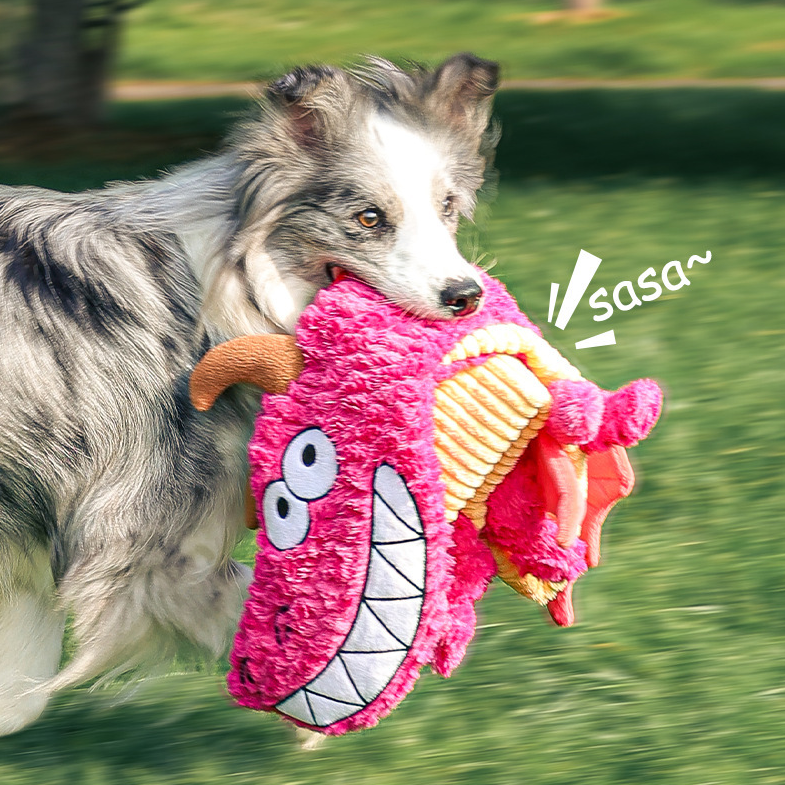 Petlori™ TrustyChew Flying Dragon 40''