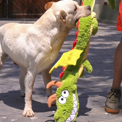 Petlori™ TrustyChew Flying Dragon 40''