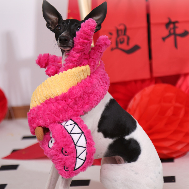 Petlori™ TrustyChew Flying Dragon 40''