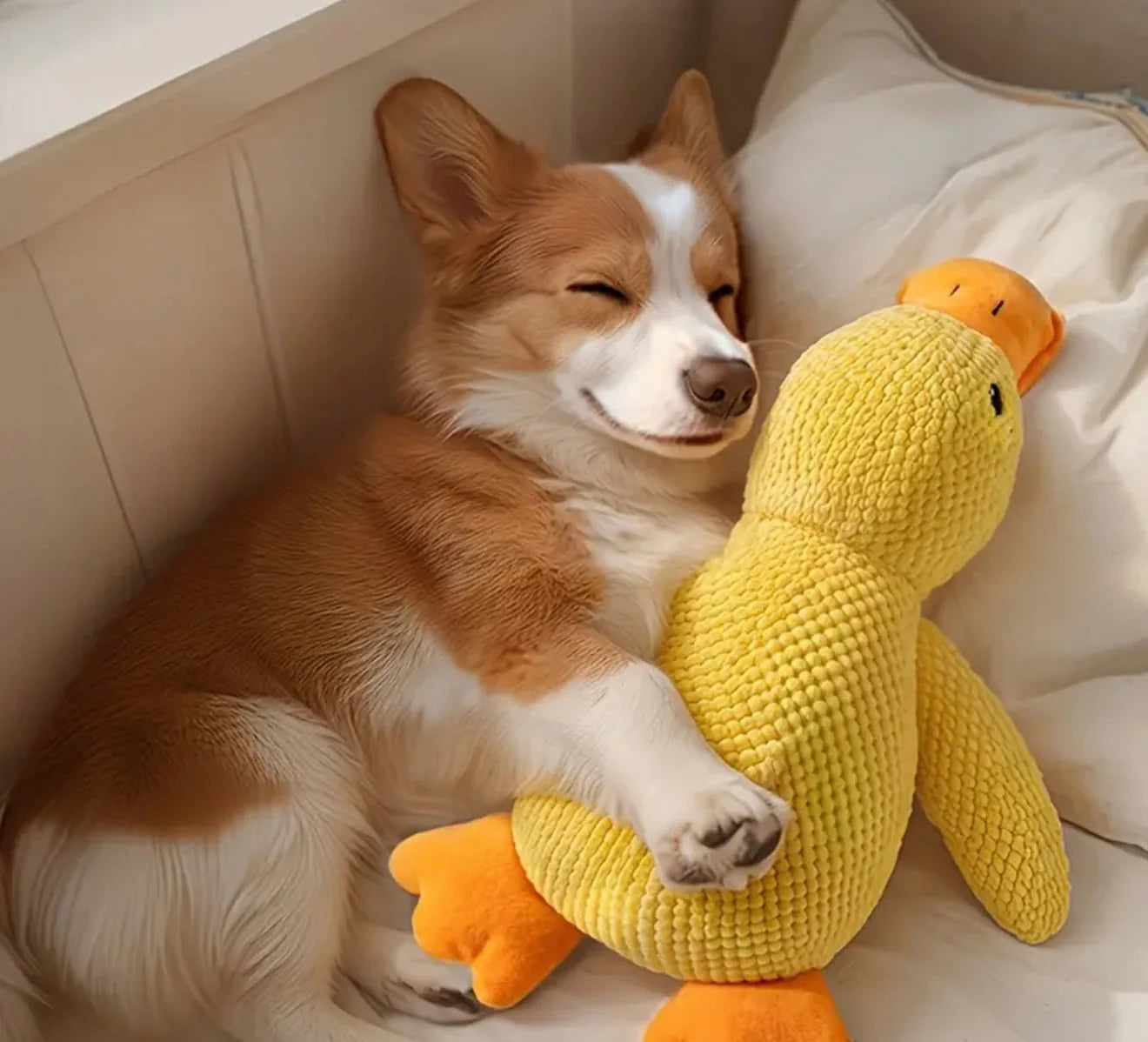Petootsy™ ChewLine Calming Duck